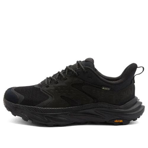Anacapa 2 Low GORE-TEX 'Triple Black'
