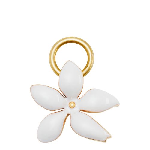 Charm