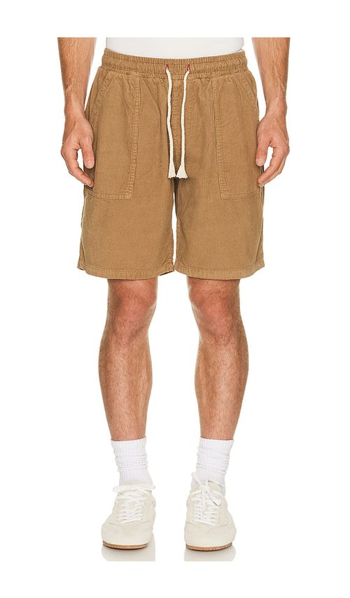 Iron & Resin Logan Shorts in Brown. 30. Also , 33
