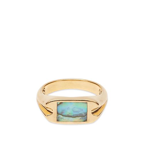 Men's Danny Signet Ring in Gold/Abalone