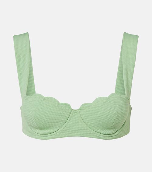 North scalloped bikini top