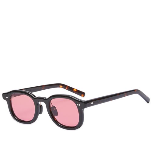 Musa Sunglasses in Dark Tortoise/Rose 