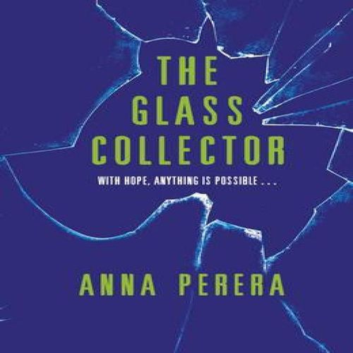 The Glass Collector Book