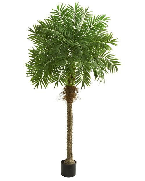80In Robellini Palm Artificial Tree