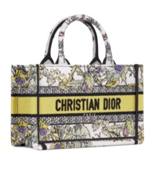 Mini Dior Book Tote