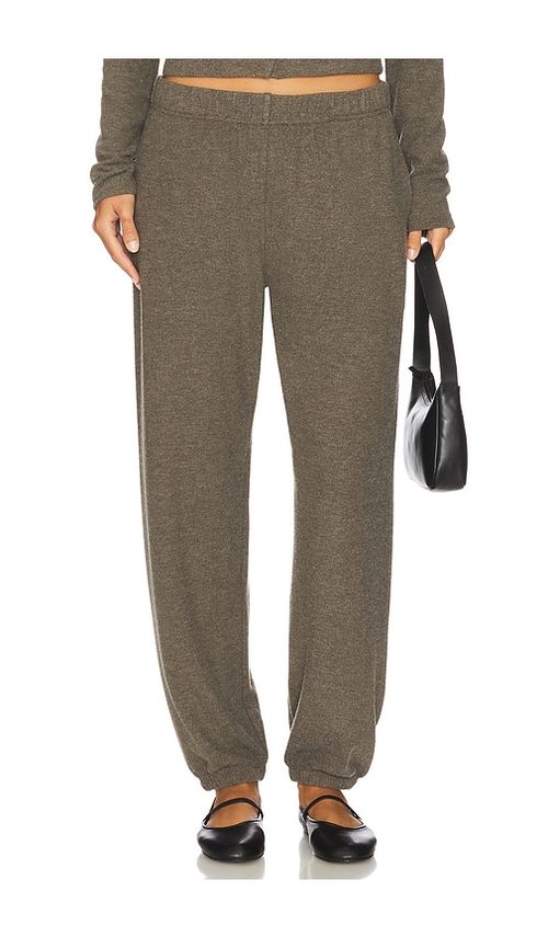 Velvet by Graham & Spencer Lexie Pant in Caper. M also in