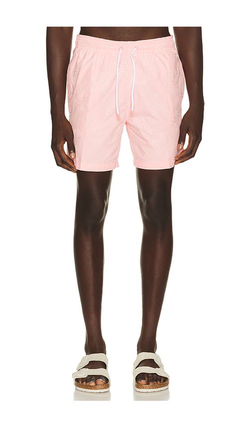 Trunks Surf & Swim Co. Sano 6.5 Swim Short in Pink. L. Also in M, S, XL/1X