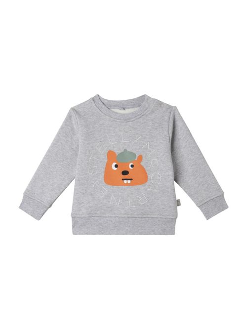 Babies Grey Graphic Sweatshirt