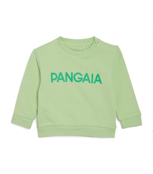 Organic Cotton Logo Sweatshirt (3-24 Months)