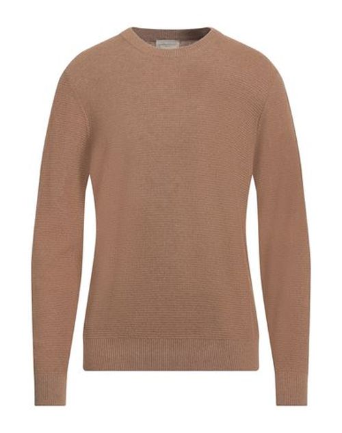 Man Sweater Sand