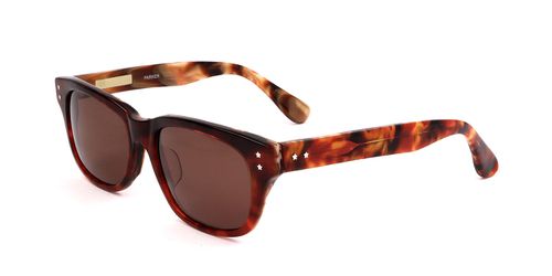 Derek Lam Parkl LTORT Men's Sunglasses Tortoiseshell Size 53