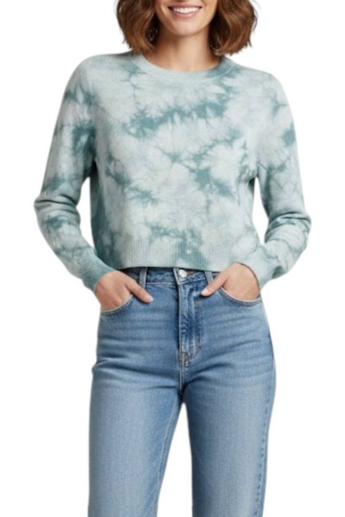 Long Sleeve Crop Crewneck Top In Ice