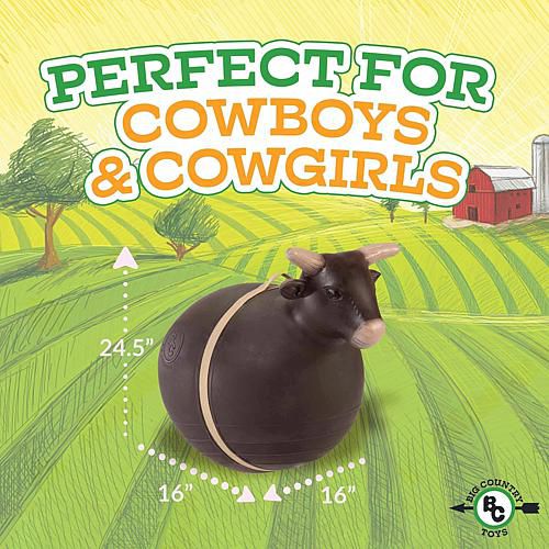 : Bouncy Bull Rodeo Ball Ride-On Toy