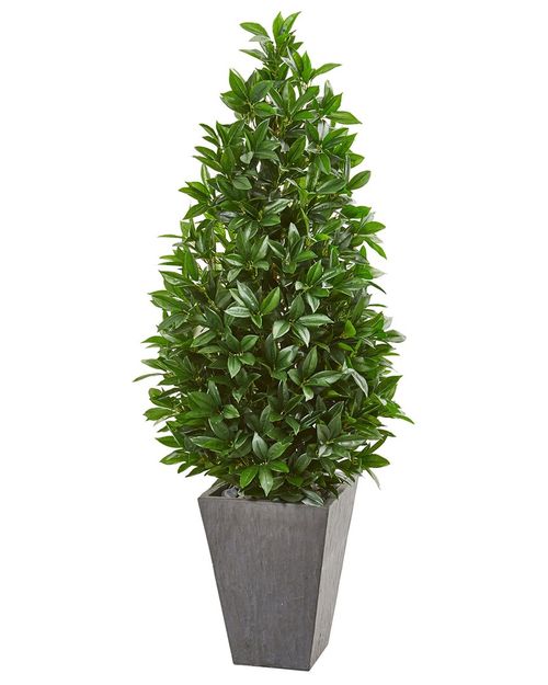57In Bay Leaf Cone Uv-Resistant Topiary Tree In Planter (Indoor/Outdoor)