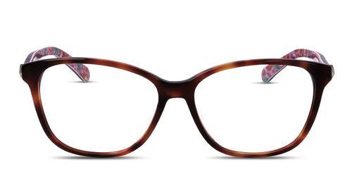 Londyn/F Tortoise