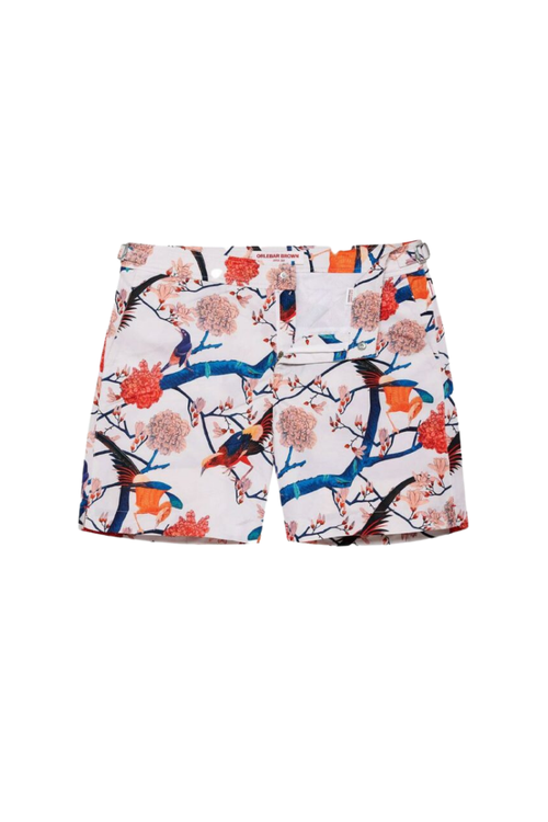Shorts — Multicolor