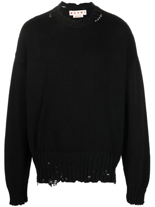 - Cotton Crewneck Sweater