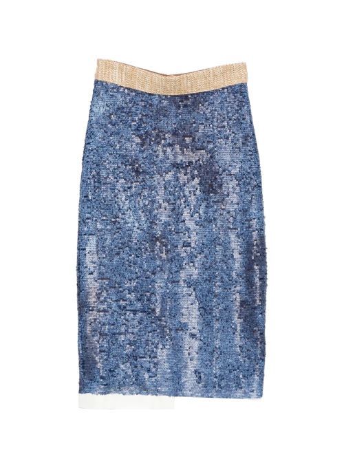 Sequin Skirt