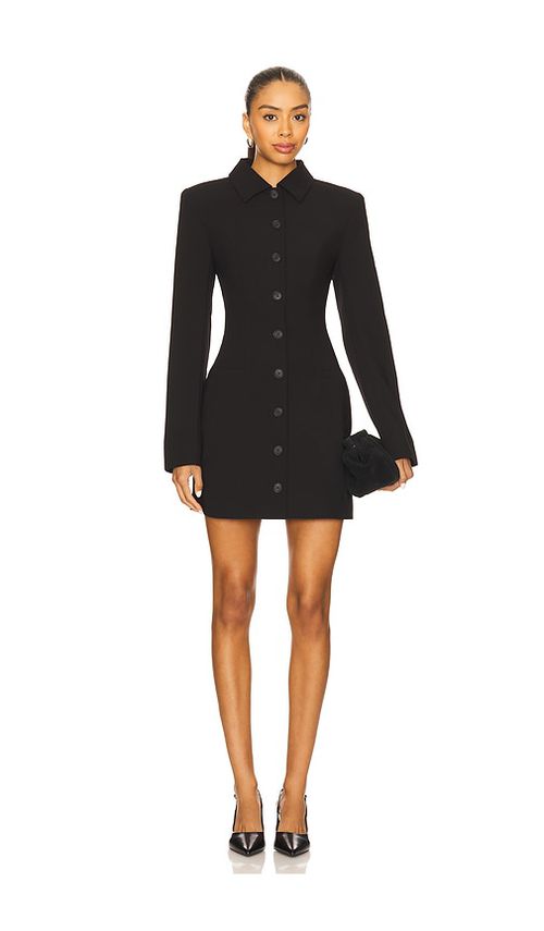 Lovers and Friends Anja Mini Dress in Black.  XS also in L, M, S