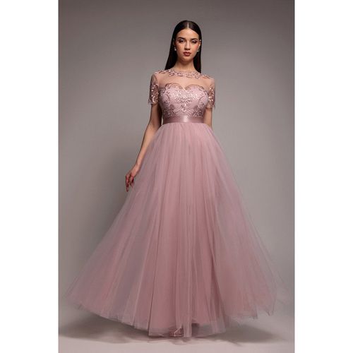 Goddiva Embroidered Mesh Maxi Dress - Blush