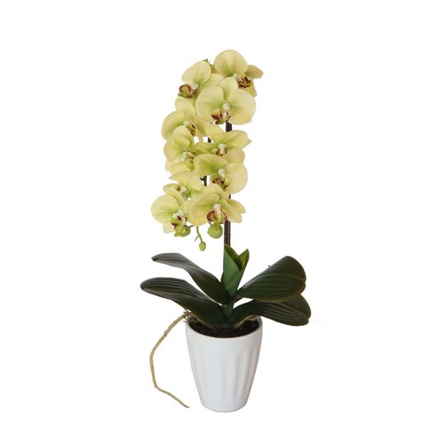Butterfly Artificial Potted Orchid Crea