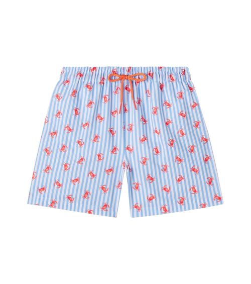 Bravo printed striped swim trunks