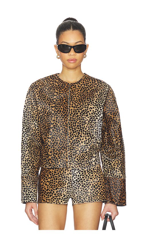 ZUT Tokyo Jacket in Brown. - L also in S
