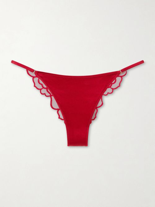 Petite Chou Embroidered Lace Briefs - x small
