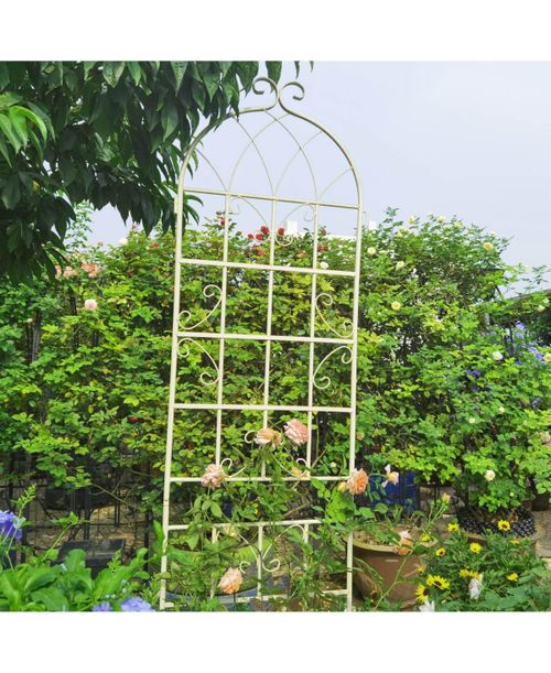 2-Pack Metal Garden Trellis – 86.7'' x 19.7'', Rustproof Cream White Trellis for Climbing Plants and Outdoor Flower Support - White