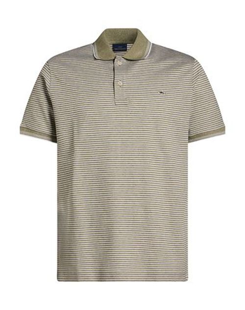 Man Polo shirt Sage green Size 3XL Cotton