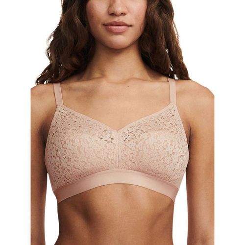 Easy Feel Norah Wirefree Support Bra