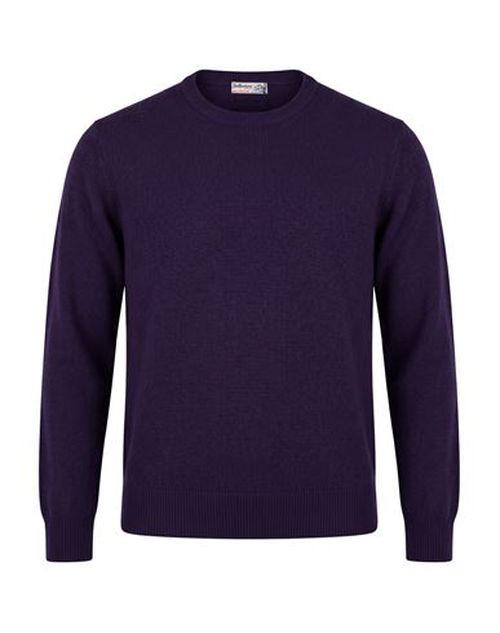 Woman Sweater Purple Size 10 Cashmere