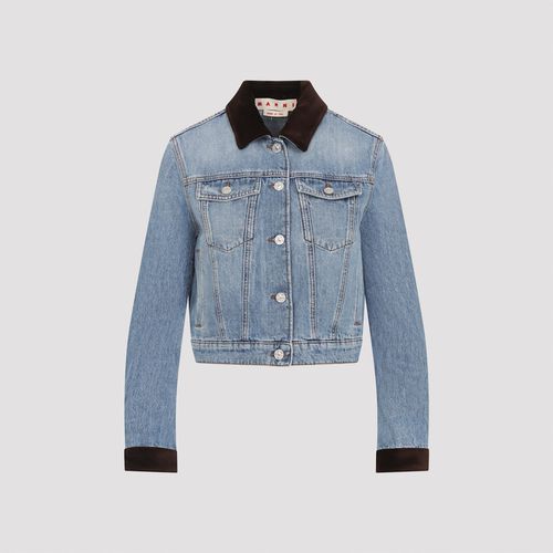 Washed Bull Denim Trucker Cropped Jacket