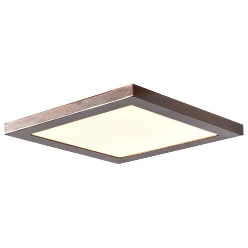 Access Boxer 8" Ceiling Light in Brushed Stee