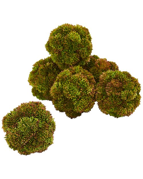 Set of 6 Sedum Artificial Succulent Spheres