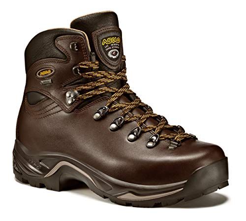 ASOLO TPS 520 GV EVO Chestnut