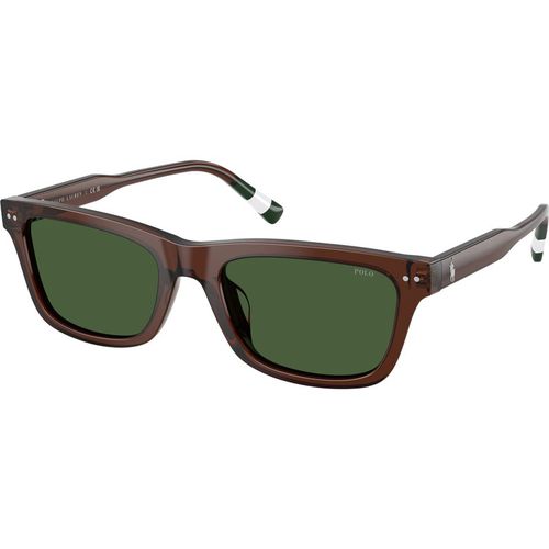 Polo Ralph Lauren Hombre Polo Ralph Lauren PH4240U 631571 Gafas de sol Acetato Marrón Verde Pillow Norma