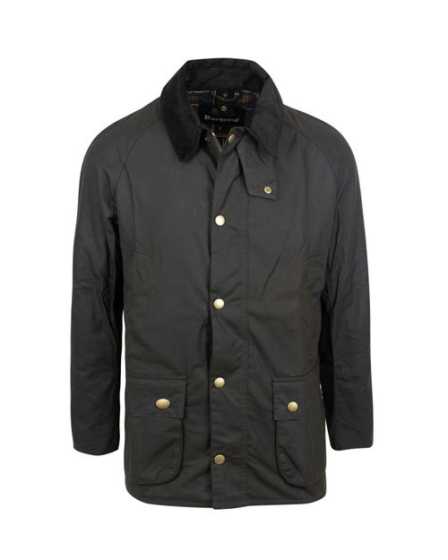 Ashby Jacket — Olive