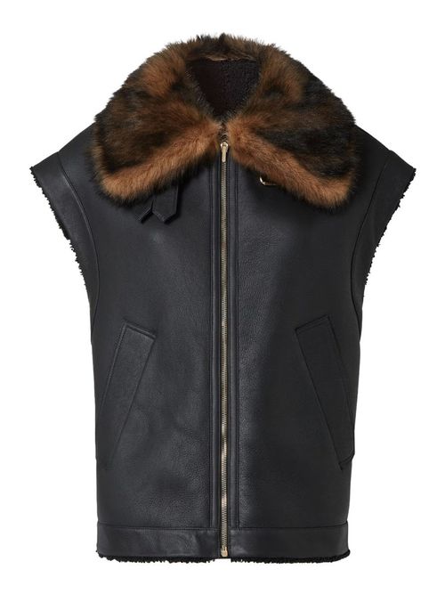 Women's Sports Jacket - FW25 Edition