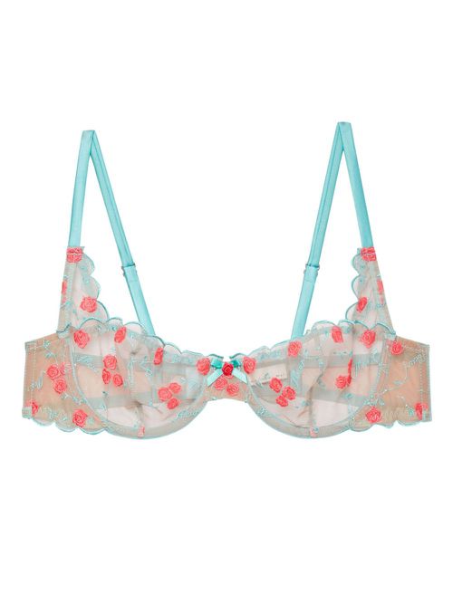 Rose and Vine embroidered bra - Blue