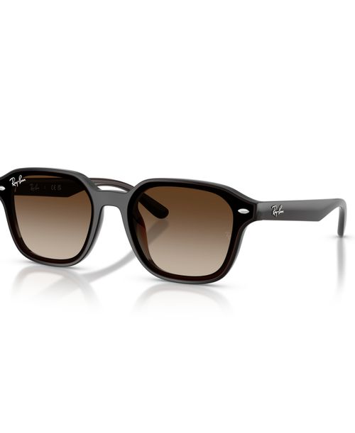 Unisex Large Sunglasses, RB4458D - Transparent Dark Brown
