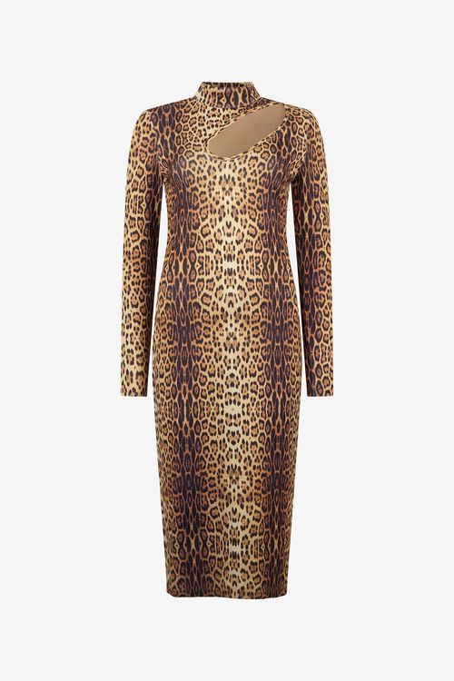 Leopard Print Midi Dress
