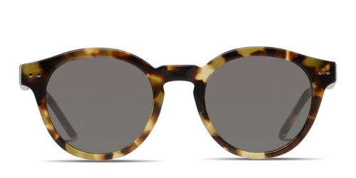 Edwards Tortoise,Beige