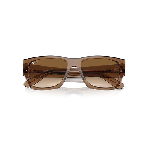 Ray-Ban Carlos Sunglasses Transparent Light Brown Frame Brown Lense