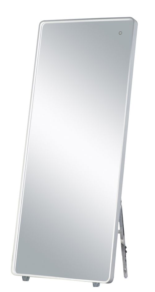Lighting Mirror 67" LED Free Standing Mirror in Brushed Aluminu