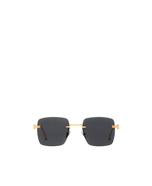 Pasha de Cartier sunglasses