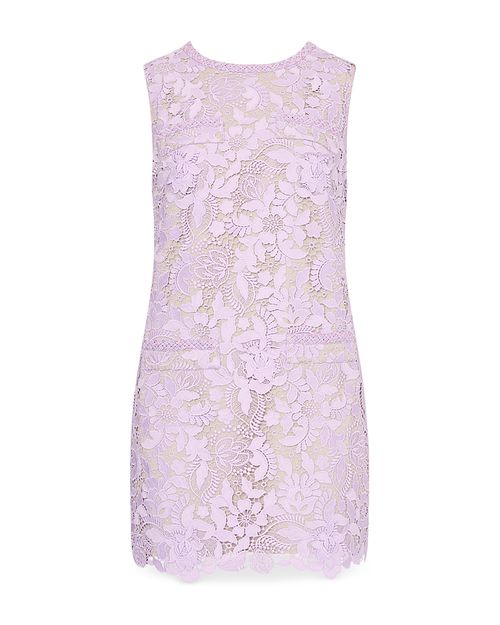 Garden Lace Sleeveless Mini Dress