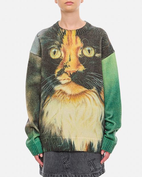 J. W. Anderson Printed Jumper