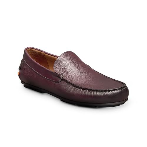 Allen Edmonds Mens Santiago Driving Style Loafer Brown