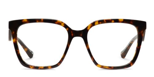 1010 Tortoise